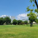 진동시사이드 이미지