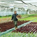 장안농장 이미지