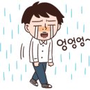 비봉면소재지 네이버블로그