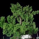 오수보건지소 이미지