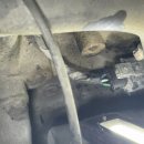 포항카클리닉 이미지