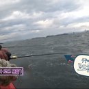 쭈꾸미달인 - 제주시 화삼로 89 | 쭈꾸미달인