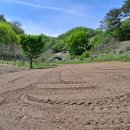 [매매완료]금산부동산/금산토지(남이면,428평) 조용하고 한적한 양지바른 주말농장/주택지 이미지