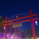 이솝포토 | 담양 죽녹원 야간개장 ㅣ밤에 더 빛나는 대나무숲 밤산책 후기 + 포토스팟