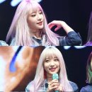 샤라 이미지