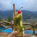 방갈로 | 사파 에코팜 하우스｜뷰맛집 수영장 숙소 방갈로 룸 후기