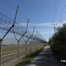 김포평화누리길 3코스 Daum카페