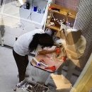 봄 펫살롱 | 포메라니안 아픈 강아지 미용 몽셀펫살롱 진심으로 케어하는 모습에 감동해주신 보호자님의 따뜻한 후기