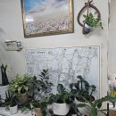 하단동108 이미지