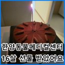 한양동물메디컬센터 이미지