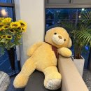 카페테디(CAFE Teddy) 이미지