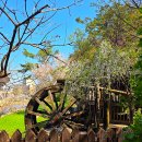 안산자락길 숲속카페 | 홍제천 인공폭포 서대문 안산자락길 연희숲속쉼터 튤립꽃 벚꽃길 천국인 듯 찐