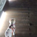 업성수변로 이미지