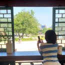 매화작은도서관 | 경복궁 집옥재 고종의 비밀 서재, 작은도서관 10월에 꼭 관람 해야하는 이유 (2025년 10월) 향정원...