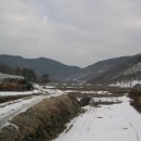 대은농장 | 금북기맥(2구간) : 월하산-월명산 구간