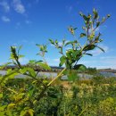 정열농장 이미지