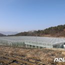 신갑수농장 뉴스1