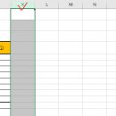 ITQ 엑셀 이미지