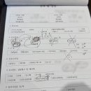 수원-1027 | 수원 펠로다이아몬드 웨딩밴드 당일 계약 및 18K 변경 후기 (feat. 명품 브랜드 비교)