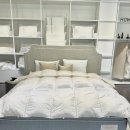 포항농협중도매인 11번 | 부모님 허리 건강을 위한 효도선물, 시몬스 포항점 방문기