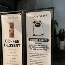 플러피쉽 이미지