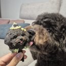 연두네놀이터 이미지