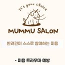 멈무살롱 이미지