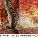 (주)사람과풍경 이미지