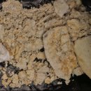 펜타포트3블럭 이미지