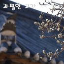 애국지사김태희묘소 | 청주 과필헌 고가 고택여행(2016.02.21) (충북민속문화재, 숙주나물 신숙주의 후손, 호정마을)