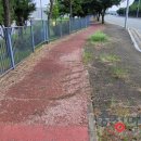 흥덕자전거도로 이미지