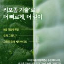 청산기프트 | 그린티 세라마이드 밀크 배리어 에센스 2주 사용 후기(속보습, 장벽 개선, 뷰티 디바이스 흡수 케어)