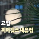 바람난 강아지 | [고양] 반려동물 강아지와 함께 편하게 놀 수 있는 대형카페 피터펫츠 내유점 주차정보
