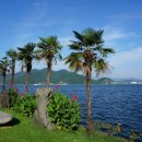 구룡포환승센터 이미지