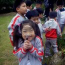 광영초교병설유치원 이미지