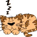 사람휘트니스 올레시장점 이미지