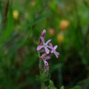 제주의휴일 이미지