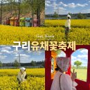 바람공원_R | 2026 구리 유채꽃 축제 구리한강시민공원 주차 가는법 실시간 후기