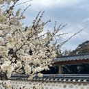 광덕게스트하우스 이미지