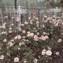 예향공인중개사사무소 이미지