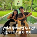 발리 퍼피요가 가격 예약 방법 총정리! 짱구 퍼피요가 후기