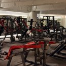 레디바디 이미지