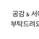 아이영 이미지