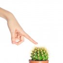 착한생활건강 이미지