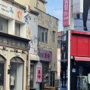 오현단 | 제주 봄 휴가 일기