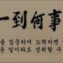 내치도 Daum카페