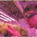 나에게 집중하는 치유 글쓰기 이미지