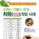 건국대학교 농축대학원 머니투데이