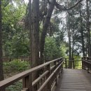태양목장 | 인천 아기와 가볼 만한 곳, 늘솔길 공원의 양떼목장 체험과 유모차 끌고 산책 후기