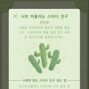 나무포레스트